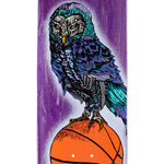 Welcome Hooter Shooter on Bunyip Deck 8”